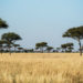 Reserva de Masai Mara en Kenia