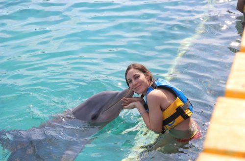 Nadar con delfines